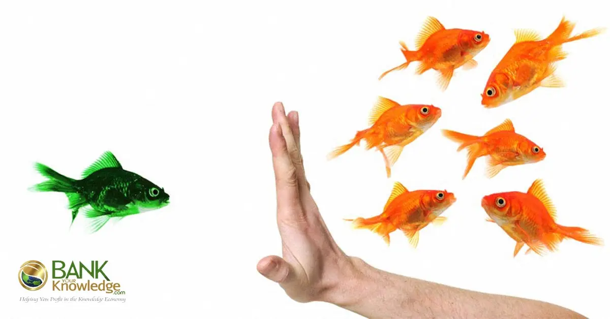 preventing-contaminated-fish-to-contaminate-others